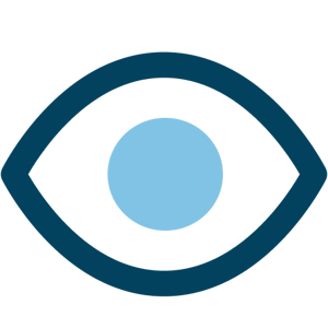 VISION
